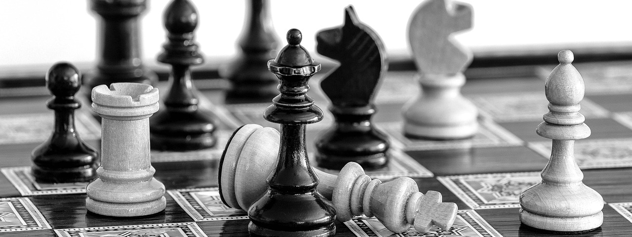 La partie du mois #2 – Suleymenov-Carlsen